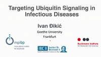 Targeting Ubiquitin Signaling in Infectious Diseases icon