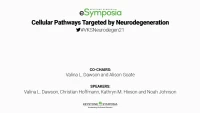 Cellular Pathways Targeted by Neurodegeneration icon