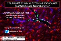 The Impact of Social Stress on Immune Cell Trafficking and Neurobehavior icon