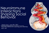 Neuroimmune Interactions Shaping Social Behavior icon