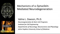 Mechanism of A-Synuclein-Mediated Neurodegeneration icon