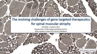 The Evolving Challenges of Gene Targeted Therapeutics for SMA icon
