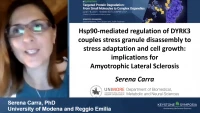 Short Talk: Hsp90-Mediated Regulation of DYRK3 Couples Stress Granule Disassembly to Stress Adaptation and Cell Growth: Implications for Amyotrophic Lateral Sclerosis icon