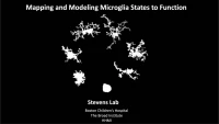 Mapping Microglia State to Function in Health and Disease icon