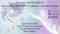 Structure and Function of Mammalian SWI/SNF Chromatin Remodeling Complexes in Human Cancer icon