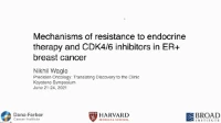 Mechanisms of Resistance to Endocrine Therapy and CDK4/6 Inhibitors in ER+ Breast Cancer icon