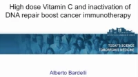 High Dose Vitamin C and Inactivation of DNA Repair Boost Cancer Immunotherapy icon