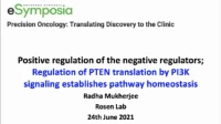 Short Talk: Regulation of PTEN Translation by PI3K Signaling Maintains Pathway Homeostasis icon