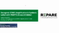 Short Talk: Oncogenic CCNE1 Amplification Is Synthetic Lethal with PKMYT1 Kinase Inhibition icon