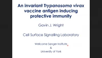An Invariant Trypanosoma Vivax Vaccine Antigen Induces Protective Immunity icon