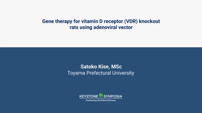 Gene therapy for vitamin D receptor (VDR) knockout rats using adenoviral vector icon