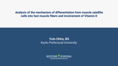 Analysis of the mechanism of differentiation from muscle satellite cells into fast muscle fibers and involvement of Vitamin D icon