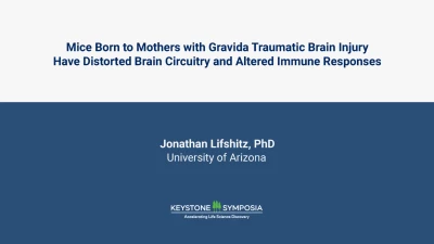 Mice Born to Mothers with Gravida Traumatic Brain Injury Have Distorted Brain Circuitry and Altered Immune Responses icon
