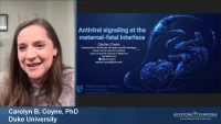 Antiviral Signaling at the Maternal-Fetal Interface icon