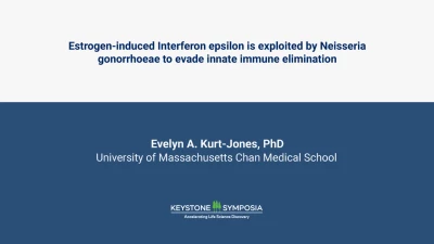Estrogen-induced Interferon epsilon is exploited by Neisseria gonorrhoeae to evade innate immune elimination icon