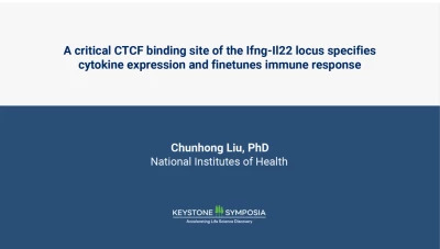 A critical CTCF binding site of the Ifng locus regulates the accurate and dynamic transcription of cytokines icon