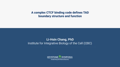 A complex CTCF binding code defines TAD boundary structure and function icon