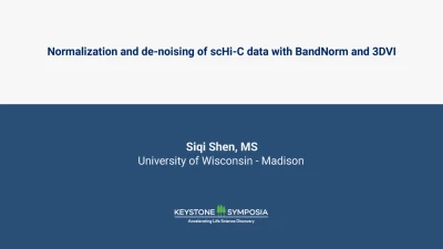 Normalization and de-noising of scHi-C data with BandNorm and 3DVI icon