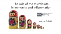 Microbiota control of tissue immunity and inflammation icon