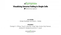 Visualizing Genome Folding in Single Cells icon