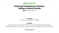 Causes and Consequences of Genome Folding on Genome Function icon