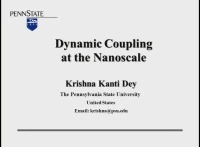 Dynamic Coupling at the Nanoscale icon