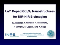 Ln3+ Doped Gd2O3 Nanostructures for NIR-NIR Bioimaging icon