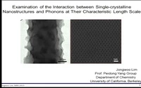 Examination of the Interaction Between Single-Crystalline Nanostructures and Phonons at Their Characteristic Length Scale icon