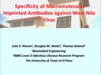 Specificity of Macromolecular Imprinted Antibodies against West Nile Virus icon