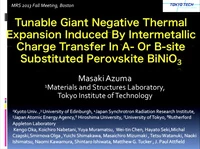 Tunable Giant Negative Thermal Expansion Induced by Intermetallic Charge Transfer in A- or B-Site Substituted Perovskite BiNiO3 icon