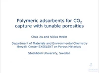 Polymeric Adsorbents for CO2 Capture with Tunable Ultra-Microporosity and Mesoporosity icon
