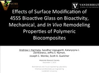 Effects of Surface Modification of 45S5 Bioactive Glass on Bioactivity, Mechanical, and In Vivo Remodeling Properties of Polymeric Biocomposites icon
