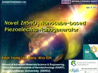 Novel ZnSnO3 Nanocube-Based Piezoelectric Nanogenerator icon