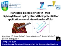 Nanoscale Piezoelectricity in Fmoc-Diphenylalanine Hydrogels and Their Potential for Application as Multi-Functional Scaffolds icon
