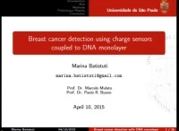 Breast Cancer Detection using Charge Sensors Coupled to DNA Monolayer icon