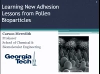Learning New Adhesion Lessons from Pollen Bioparticles icon