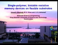 Single-Polymer, Bistable Resistive Memory Devices on Flexible Substrates icon