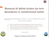 Removal of Defect Clusters by Twin Boundaries in Nanotwinned Metals icon
