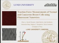 Traction Force Measurements of Normal and Cancerous Breast Cells Using Fluorescent Nanowires icon