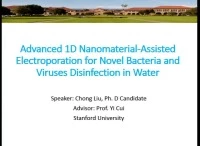 Advanced 1D Nanomaterial-Assisted Electroporation for Novel Bacteria and Viruses Disinfection icon