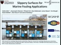 Slippery Surfaces for Marine Fouling Applications icon