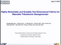 Textile-Structured Triboelectric Nanogenerators for Wearable Electronics icon
