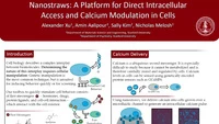 Nanostraws: A Platform for Direct Intracellular Access and Calcium Modulation in Cells icon