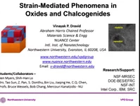 Strain Mediated Phenomena in Nanostructured Oxides and Chalcogenides icon