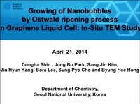 Evolution of Nanobubbles in Graphene Liquid Cells: An  TEM Study icon