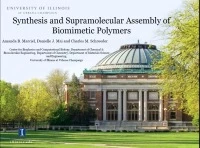 Synthesis and Supramolecular Assembly of Biomimetic Polymers icon