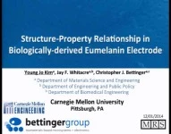 Structure-Property Relationship in Biologically-Derived Eumelanin Cathodes Electrochemical Energy Storage icon