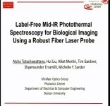 Label-Free Mid-IR Photothermal Spectroscopy for Biological Imaging Using a Robust Fiber Laser Probe icon