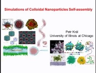 Atomistic Modeling of Colloidal Nanoparticles with Active Ligands: Solvation, Electroactivity, pH-Activity, and Bio-Activity icon