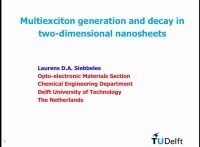 Multiexciton Generation and Decay in Two-Dimensional Nanosheets icon